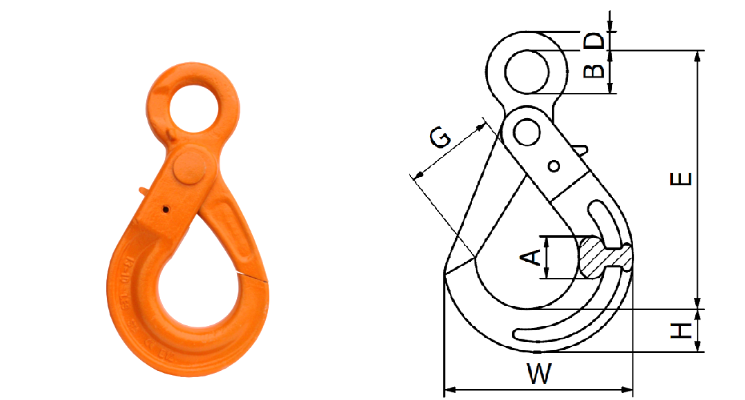 hak hak-les_7ee07.png