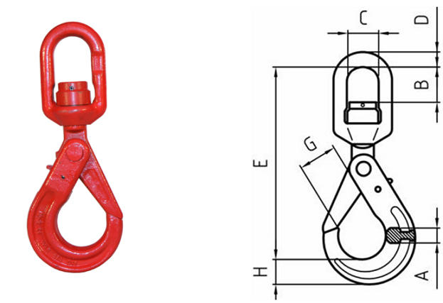 hak hak-wle_c94c0.png