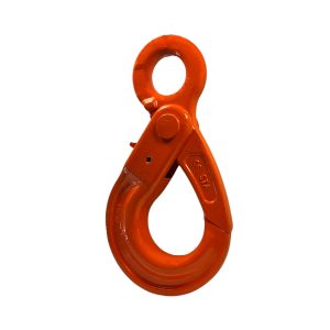 Hak z uchem i automatycznym zabezpieczeniem klasy 10